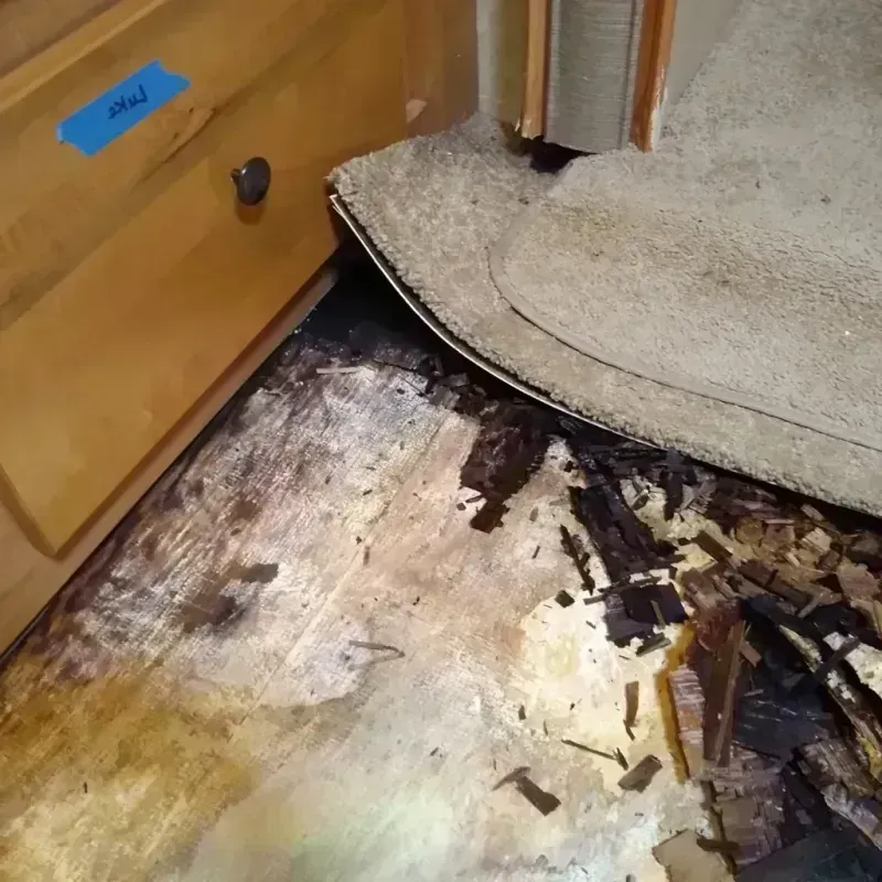 Wood Floor Water Damage in Westwego, LA